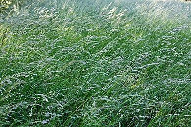 《拳皇13：全球大赛》PS4开放B测宣布6月6日上线